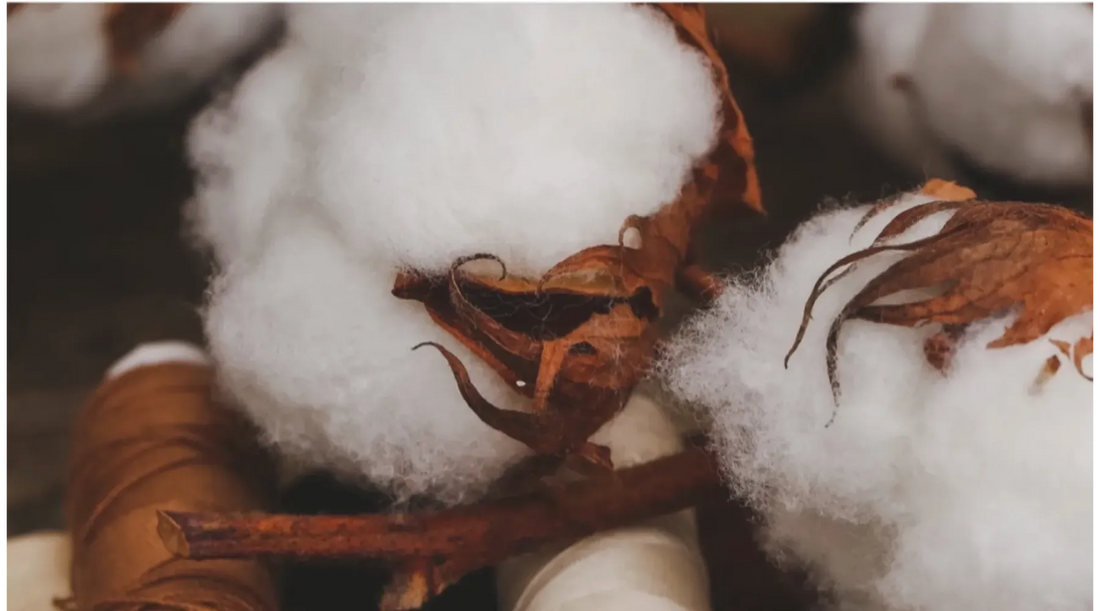 Organik Tekstil Nedir ve Neden Tercih Edilir?